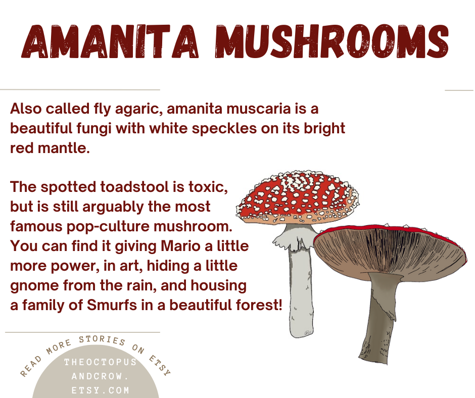 Amanita