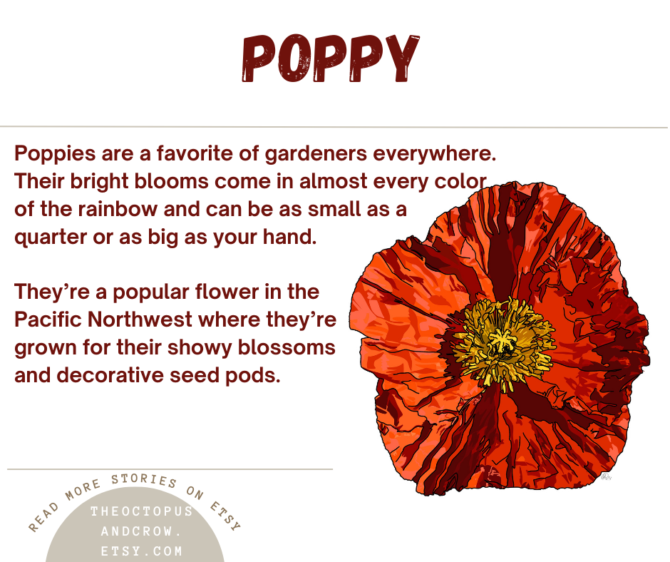 Poppy